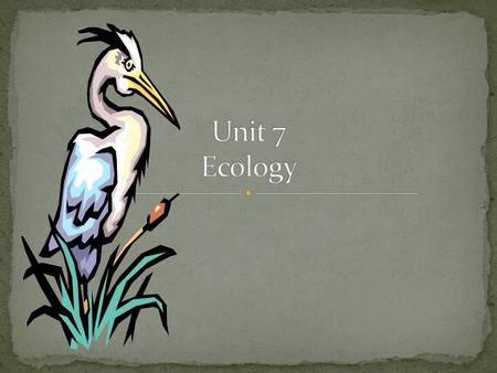 Unit 7 Ecology.