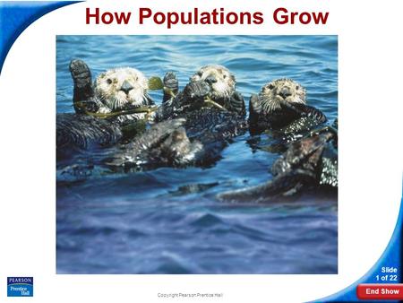 End Show Slide 1 of 22 Copyright Pearson Prentice Hall How Populations Grow.