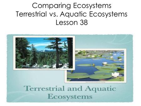 Comparing Ecosystems Terrestrial vs. Aquatic Ecosystems Lesson 38