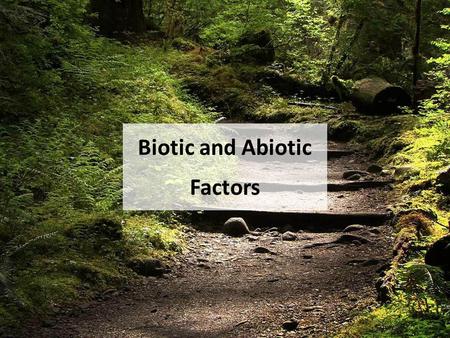 Biotic and Abiotic Factors. Lesson Essential Question: What abiotic factors help organisms live & thrive? Recall that the foundation of environmental.