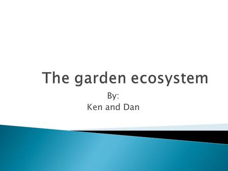 By: Ken and Dan. The garden ecosystem has three key components to it Producers Consumers Decomposers.