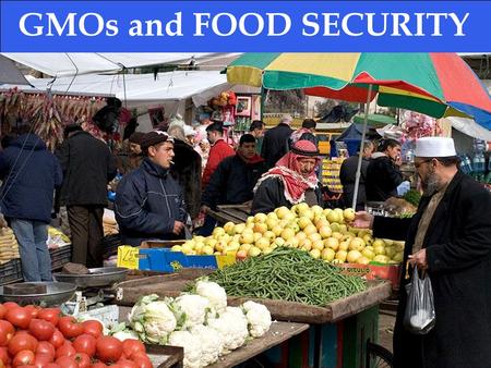 Shatha Daqaq – Florine Etame – Chiara Marenco GMOs and FOOD SECURITY.