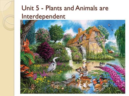 Unit 5 - Plants and Animals are Interdependent. Living Things and the Environment Organism – a living thing All organisms need the following things to.