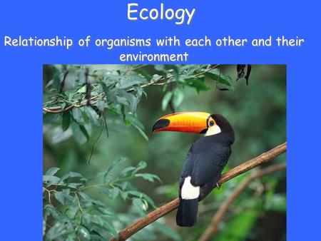 Ecology Relationship of organisms with each other and their environment.