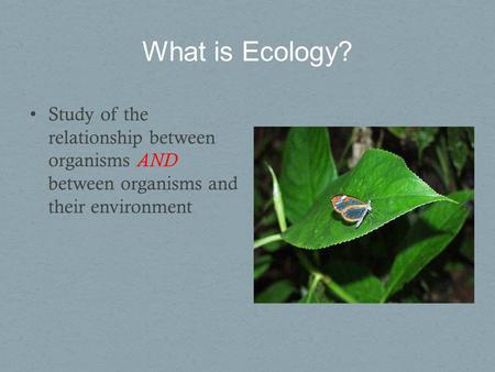 What is Ecology? Study of the relationship between organisms AND between organisms and their environment.