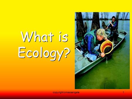 1 What is Ecology? copyright cmassengale. 2 What is Ecology?? The study of interactions that take place between organisms and their environment.The study.
