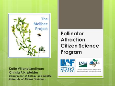 Pollinator Attraction Citizen Science Program Katie Villano Spellman Christa P.H. Mulder Department of Biology and Wildlife University of Alaska Fairbanks.