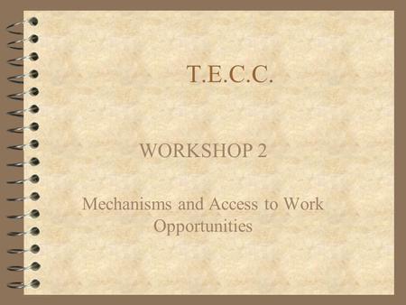 T.E.C.C. WORKSHOP 2 Mechanisms and Access to Work Opportunities.