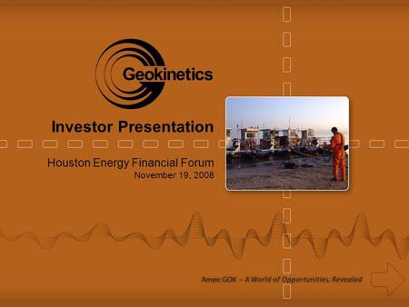 Houston Energy Financial Forum November 19, 2008 Investor Presentation.