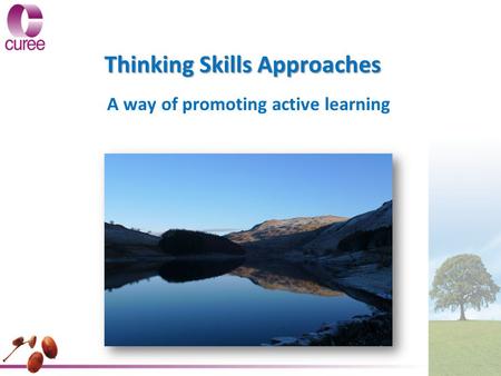 Thinking Skills Approaches A way of promoting active learning.