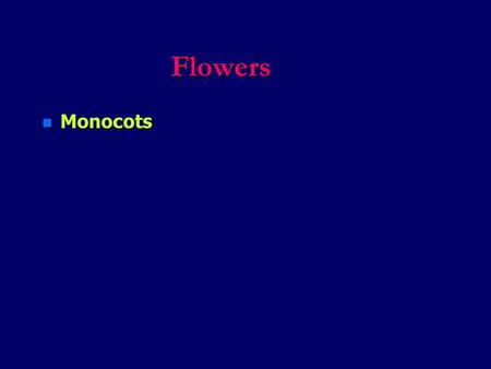 Flowers n Monocots. Flowers n -veins in most are parallel.