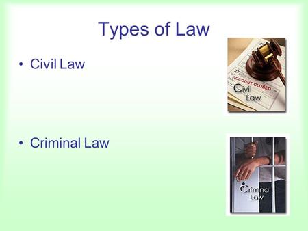 Types of Law Civil Law Criminal Law. Some Terms Litigants –Plaintiff –Defendant Standing Class Action Suits Interest Groups –ACLU, NAACP –Amicus Curiae.