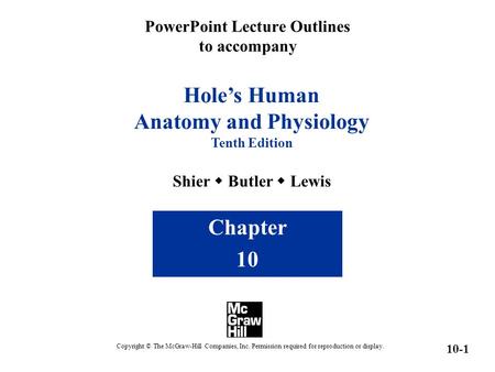 PowerPoint Lecture Outlines to accompany Hole’s Human Anatomy and Physiology Tenth Edition Shier  Butler  Lewis Chapter 10 Copyright © The McGraw-Hill.