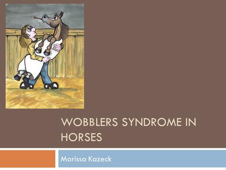 Wobblers Syndrome in Horses