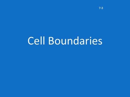7-3 Cell Boundaries.