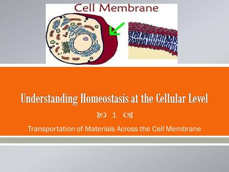  Transportation of Materials Across the Cell Membrane 1.