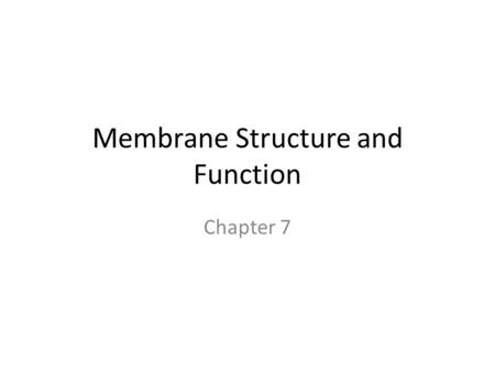 Membrane Structure and Function Chapter 7. The plasma membrane  selectively permeable Overview: Life at the Edge.
