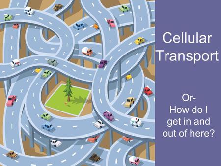 Cellular Transport Or- How do I get in and out of here?