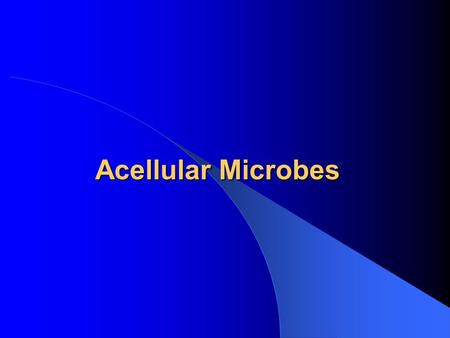 Acellular Microbes. Infectious Agents Viruses Range from 10-300 nm. academic.pgcc.edu/.../Chapter%2013/size.html.