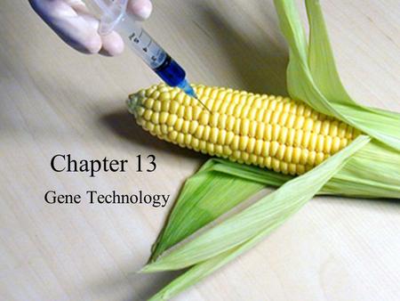 Chapter 13 Gene Technology. Facts about Human DNA Except for identical twins, no one has the same DNA 10% of genome is different (person to person) –Use.