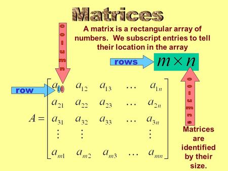 Row rows A matrix is a rectangular array of numbers. We subscript entries to tell their location in the array Matrices are identified by their size.