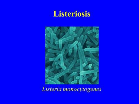 Listeriosis Listeria monocytogenes. Facts ~ 2,500 (1,100) seriously ill per year 500 (415) die per year Soil and water Gram-positive rod-shaped bacterium.