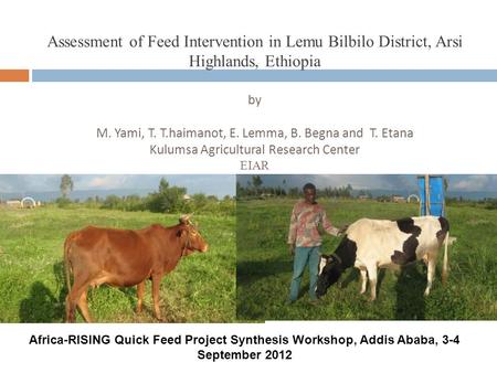 Assessment of Feed Intervention in Lemu Bilbilo District, Arsi Highlands, Ethiopia by M. Yami, T. T.haimanot, E. Lemma, B. Begna and T. Etana Kulumsa.