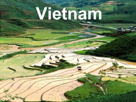 Vietnam. Vietnam War France –France rules Indochina (Vietnam, Laos, Cambodia) Late 1800s until WWII (Japanese take-over) –Land from peasants, build large.