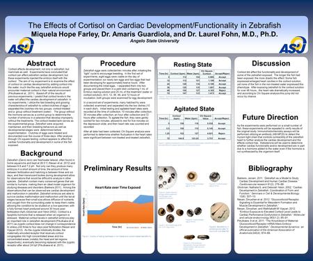 Www.postersession.com Abstract Cortisol affects development, not only in zebrafish, but mammals as well. Experiments have concluded that cortisol can affect.