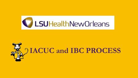 IACUC and IBC PROCESS. Office of Research Services Resource Center Building Room 206504-568-4970 Kenneth Kratz, PhD –Director Staff: Nicole Barron – Pre-award.
