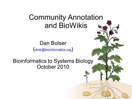 1 Dan Bolser ( ) Bioinformatics to Systems Biology October 2010 Community Annotation and BioWikis.