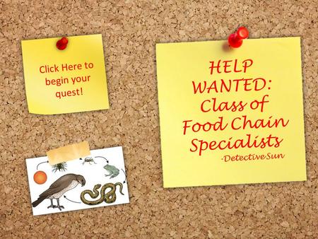 HELP WANTED: Class of Food Chain Specialists -Detective Sun Click Here to begin your quest!
