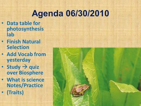 Agenda 06/30/2010 Data table for photosynthesis lab Finish Natural Selection Add Vocab from yesterday Study  quiz over Biosphere What is science Notes/Practice.