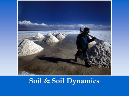 Soil & Soil Dynamics.