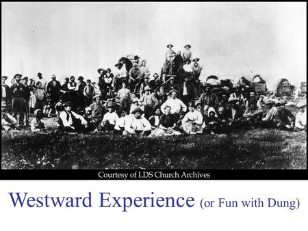 Westward Experience (or Fun with Dung). #1 What were early frisbees made of? Buffalo Dung.