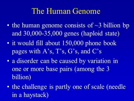The Human Genome the human genome consists of ~3 billion bp and 30,000-35,000 genes (haploid state) it would fill about 150,000 phone book pages with A’s,