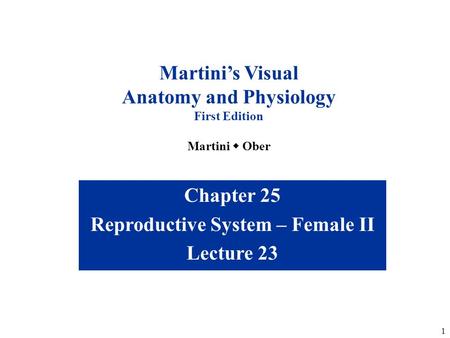 Anatomy and Physiology Reproductive System – Female II