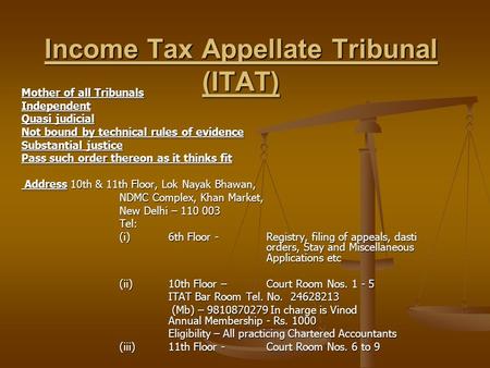 Income Tax Appellate Tribunal (ITAT)
