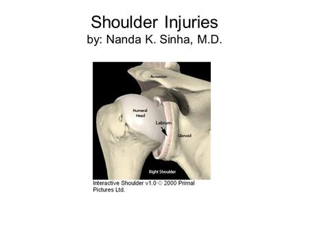 Shoulder Injuries by: Nanda K. Sinha, M.D.. Surface Anatomy.