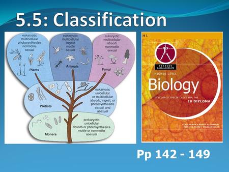 5.5: Classification Pp 142 - 149.