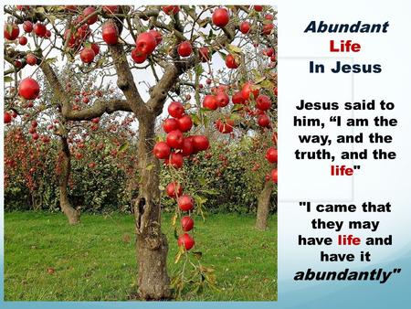 Abundant Life In Jesus Jesus said to him, “I am the way, and the truth, and the life I came that they may have life and have it abundantly
