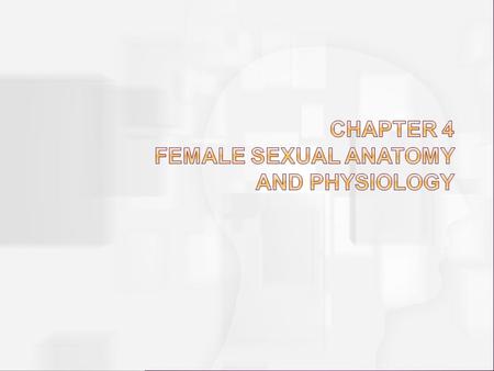 Chapter 4 Female Sexual Anatomy and Physiology