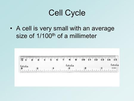 Cell Cycle A cell is very small with an average size of 1/100 th of a millimeter.