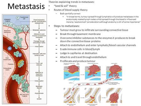 Metastasis Steps to metastases: