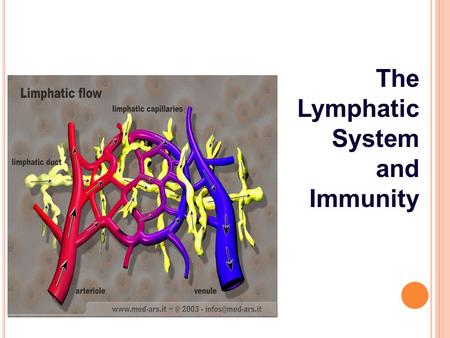 Copyright © 2004. Mosby Inc. All Rights Reserved. Slide 0 The Lymphatic System and Immunity.