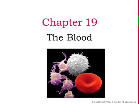 Chapter 19 The Blood.