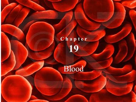 C h a p t e r 19 Blood. Functions of Blood  Transport of dissolved substances  Regulation of pH and ions  Restriction of fluid losses at injury sites.