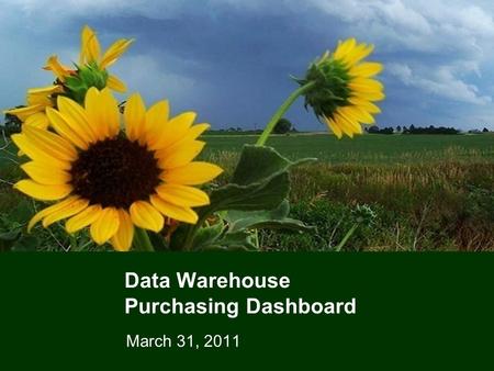 1 Data Warehouse Purchasing Dashboard March 31, 2011.