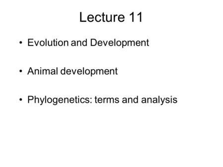 Lecture 11 Evolution and Development Animal development Phylogenetics: terms and analysis.