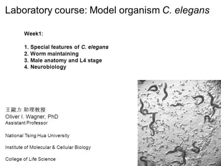 王歐力 助理教授 Oliver I. Wagner, PhD Assistant Professor National Tsing Hua University Institute of Molecular & Cellular Biology College of Life Science Laboratory.
